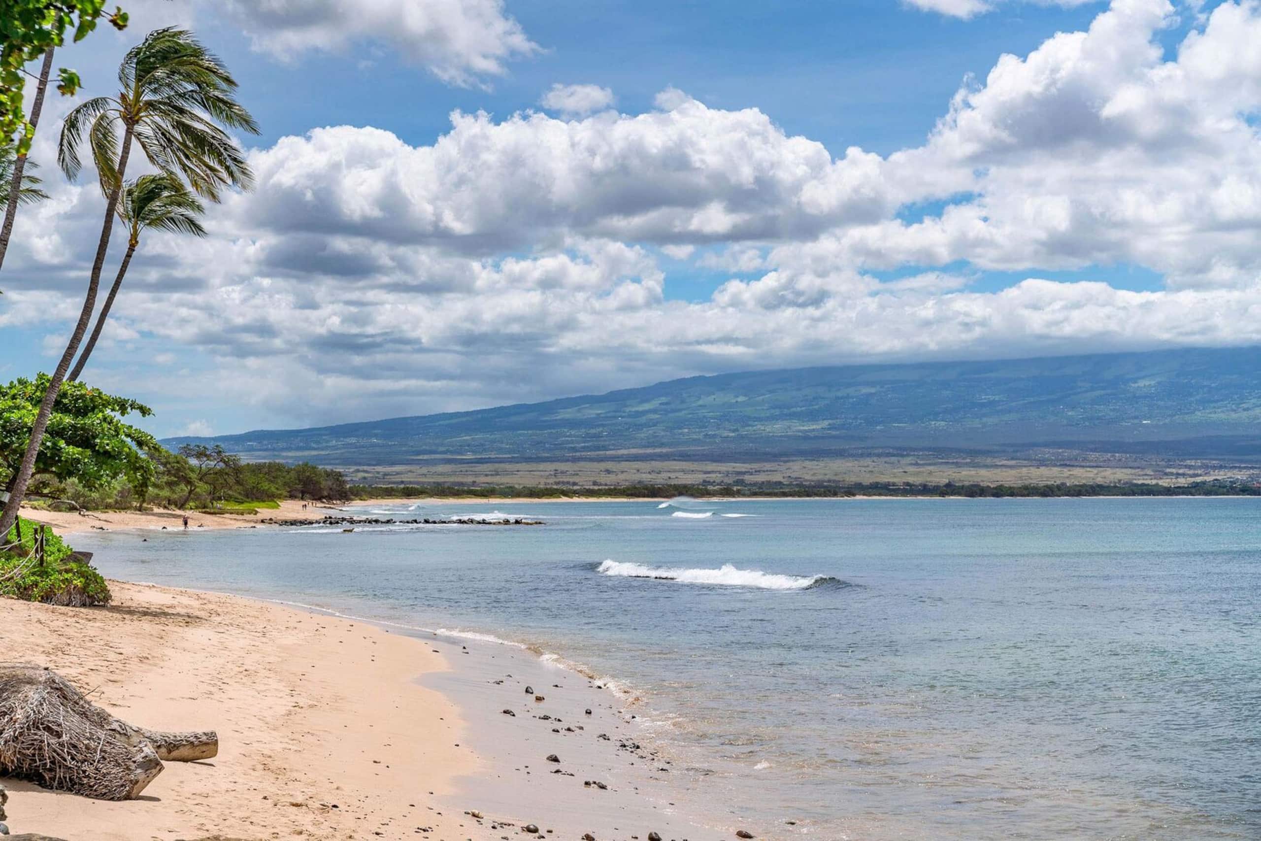 Condo in Wailuku · ★4.88 · 2 bedrooms · 4 beds · 2 baths - Image 47