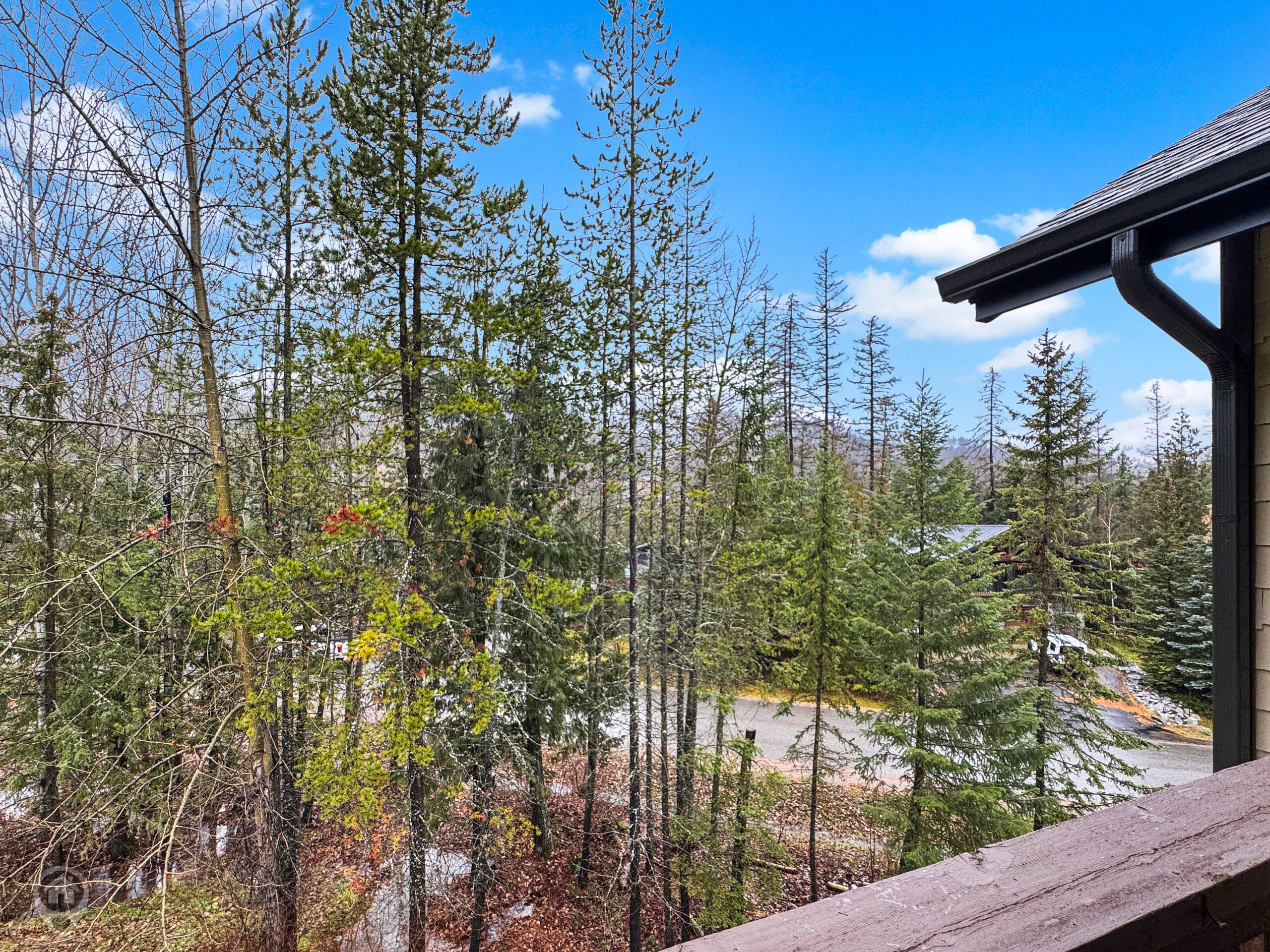 2 bedroom condo at Timberline's Aspen Lodge - Photo 15