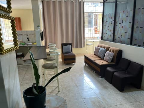 central apartment