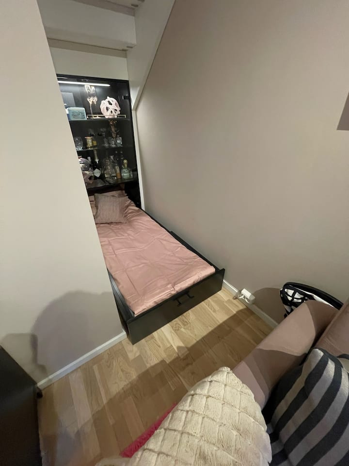 سرير الضيف