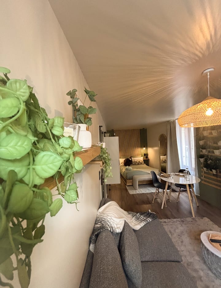 Studio Zen Et Calme -
Au Centre D’issoire - Issoire