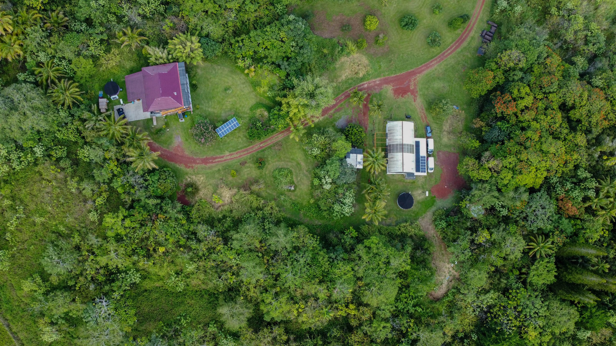 Cabin in Pahoa · ★4.89 · 1 bedroom · 1 bed · 1 private bath - Image 40