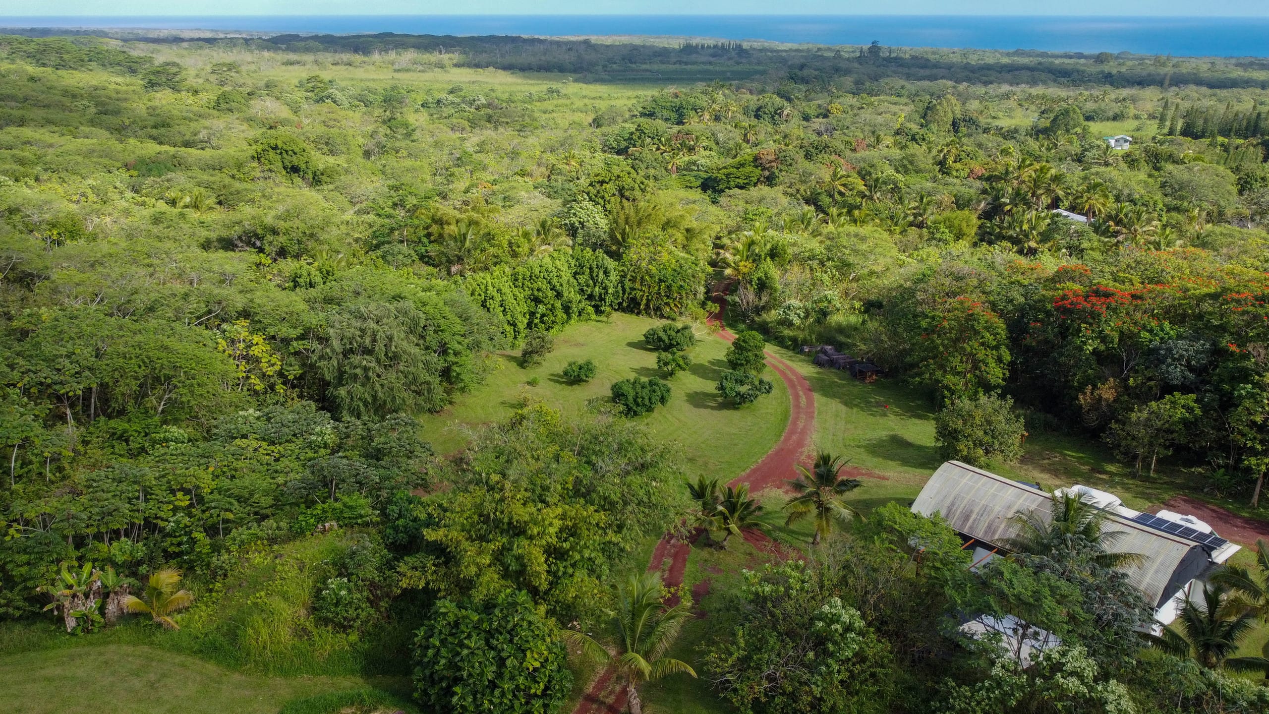 Cabin in Pahoa · ★4.89 · 1 bedroom · 1 bed · 1 private bath - Image 41
