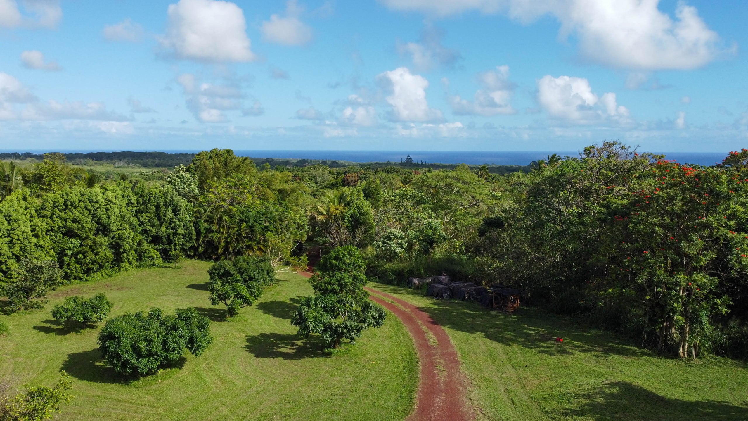 Cabin in Pahoa · ★4.89 · 1 bedroom · 1 bed · 1 private bath - Image 39