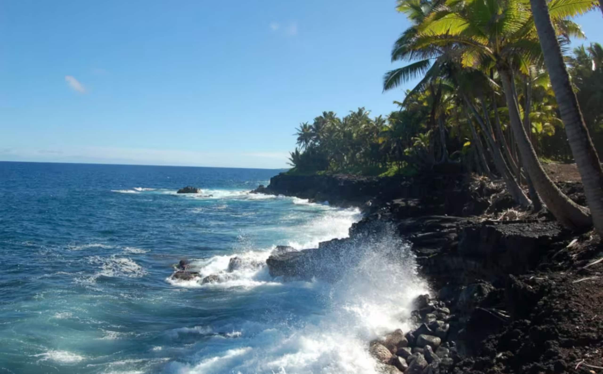 Cabin in Pahoa · ★4.89 · 1 bedroom · 1 bed · 1 private bath - Image 57