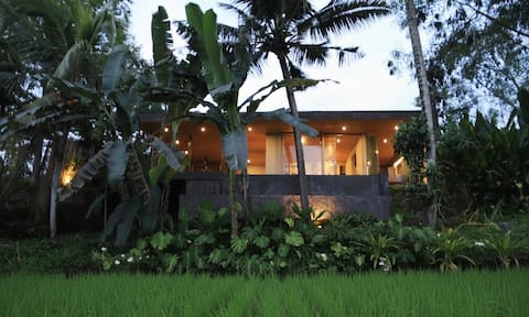 The Soma Beach House.