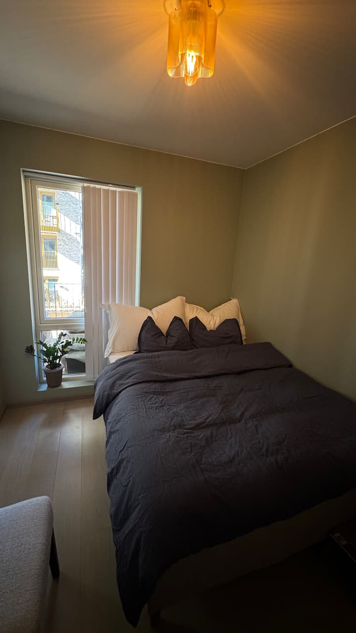 Habitación 2