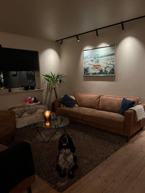 Successful Airbnb property: Detached house with 4 bedrooms in Steinkjer