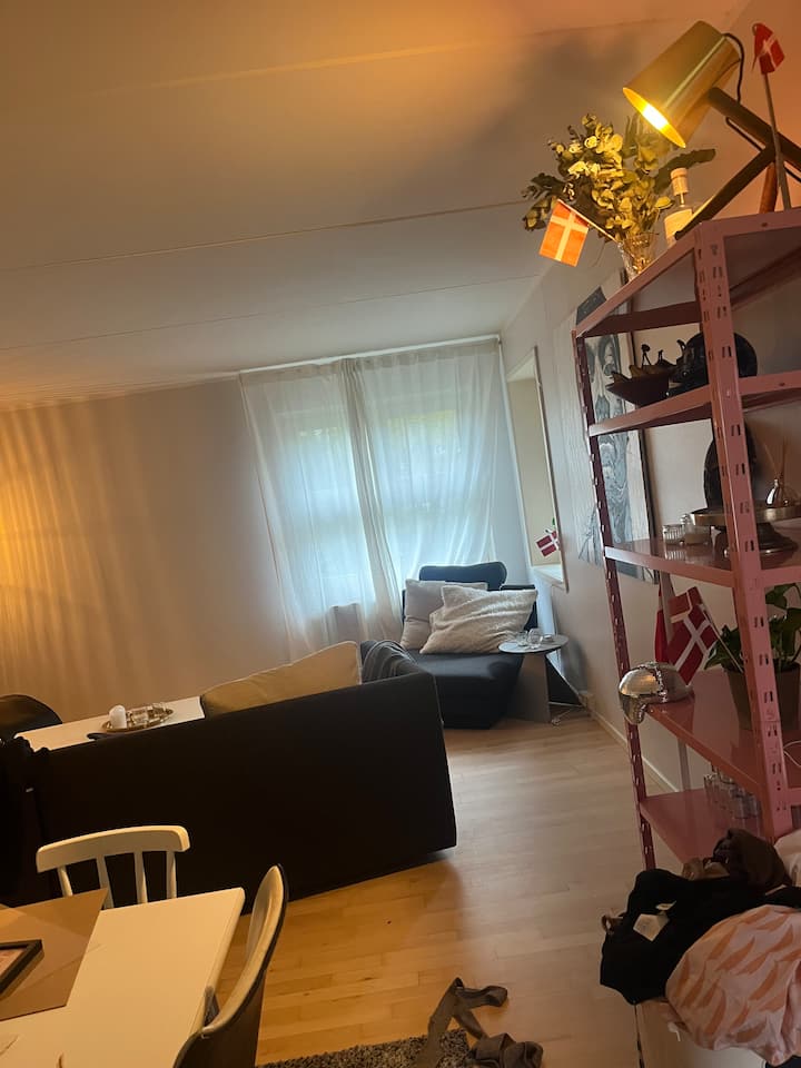 Spacious Nørrebro Apartment - Copenhaguen