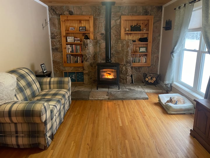 Adk North And Nest - Indian Lake, NY