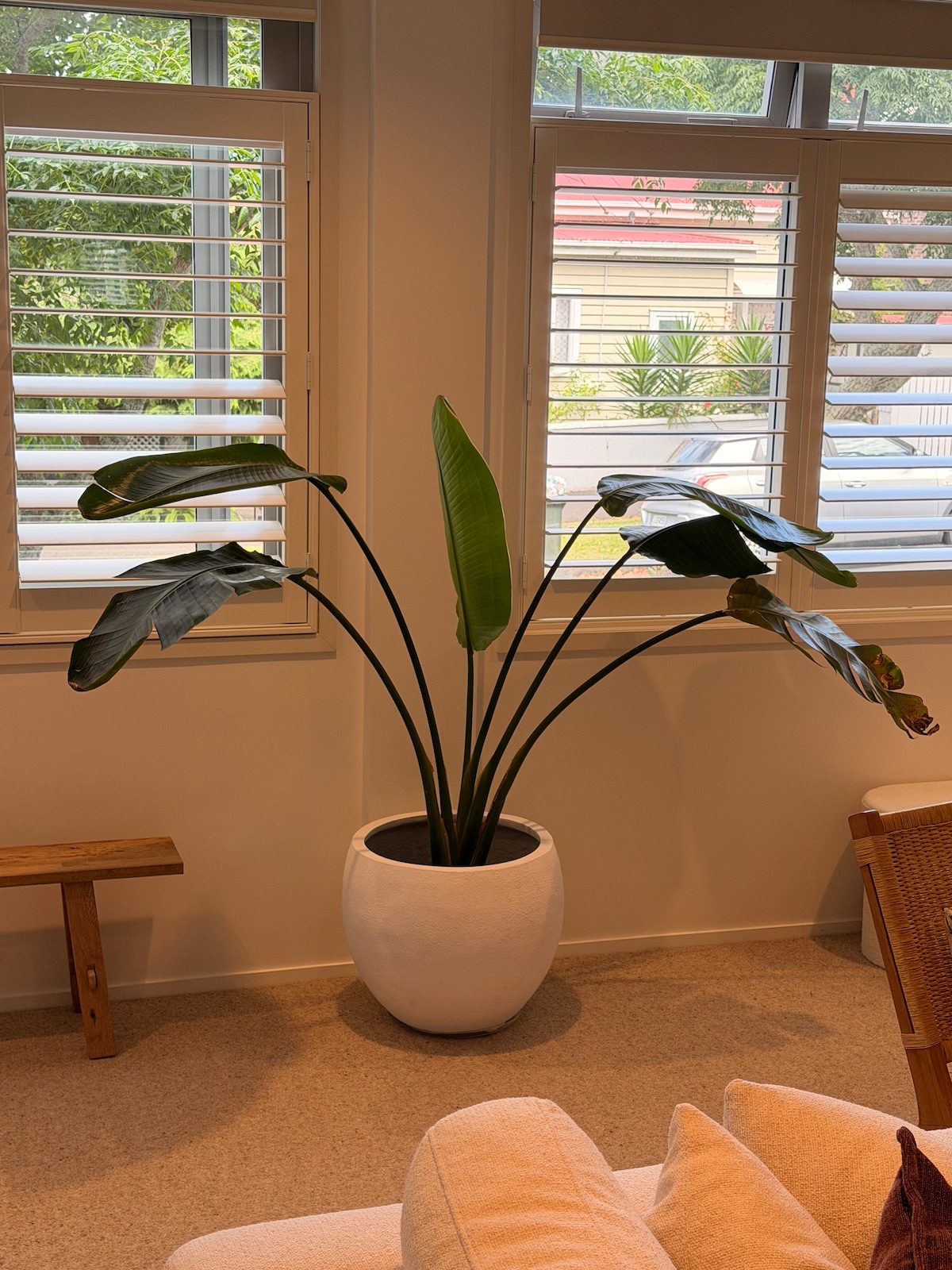 Top Airbnb: Sanctuary in the heart of Ponsonby in Grey Lynn