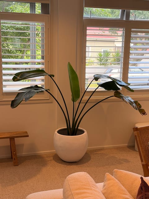 Top Airbnb: Sanctuary in the heart of Ponsonby in Grey Lynn