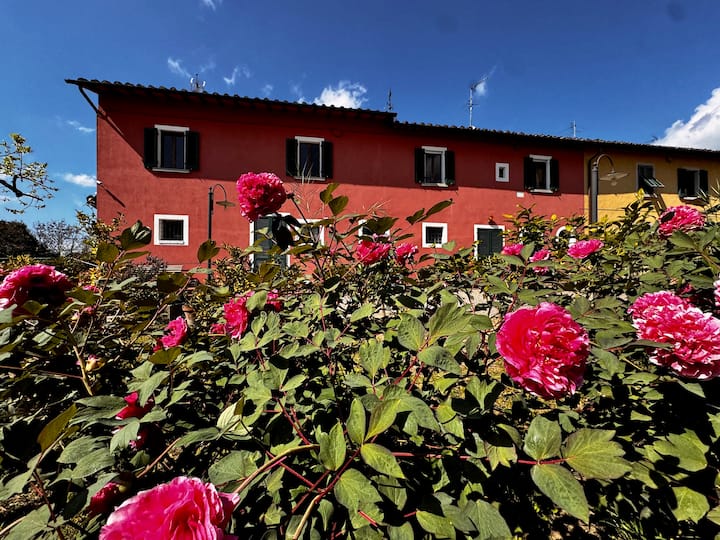 Apartment A I’ Bacio: In The Heart Of Tuscany. - San Miniato