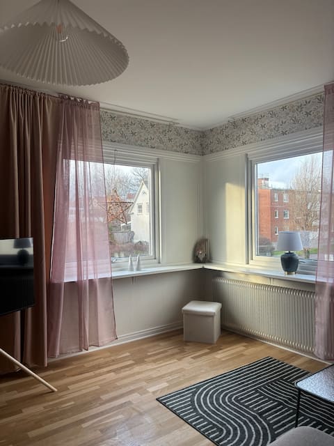 Cozy apartment centrally
