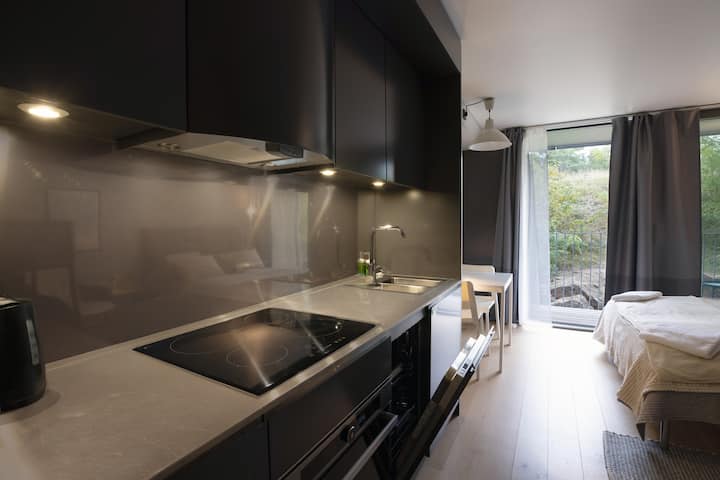 Four-bed Studio Apartment - Kungsängen