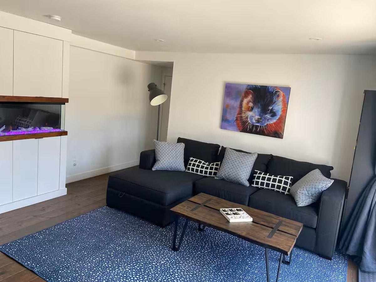 غرفة المعيشة