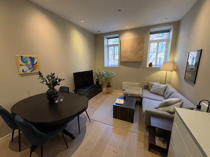Apartment Near City Centre - Oslo