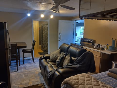Successful Airbnb property: ABs ybors private suite in V.M. Ybor