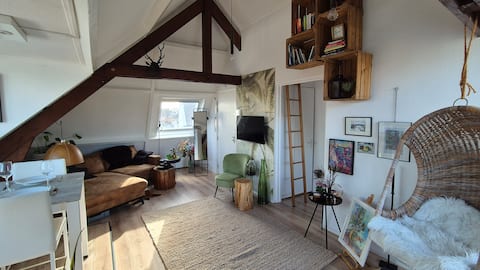 Popular Airbnb listing: “Boutique Artislique” in Zuid Holland