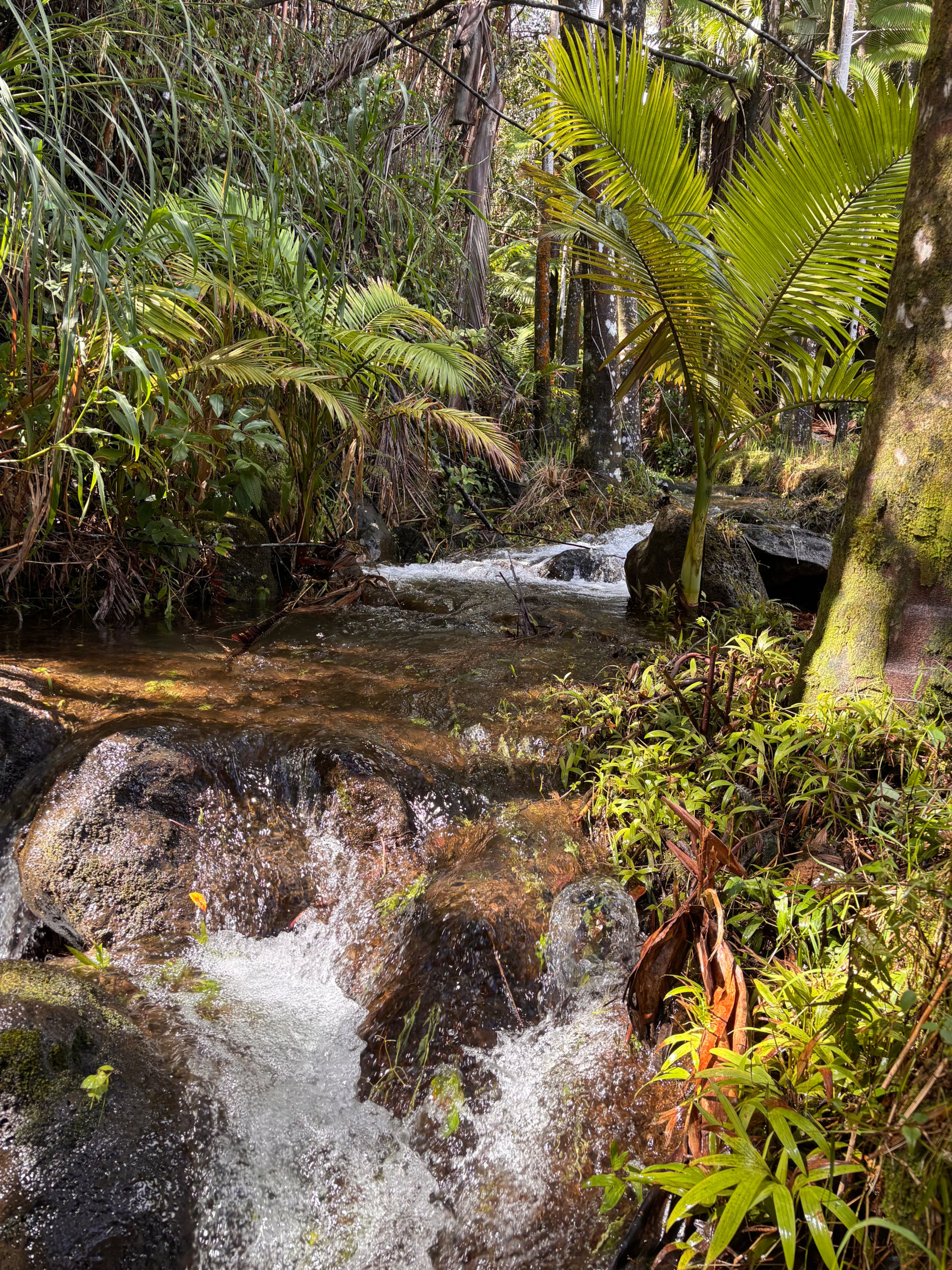 Private Waterfall Escape | Furo Tub/Outdoor Shower - Image 37
