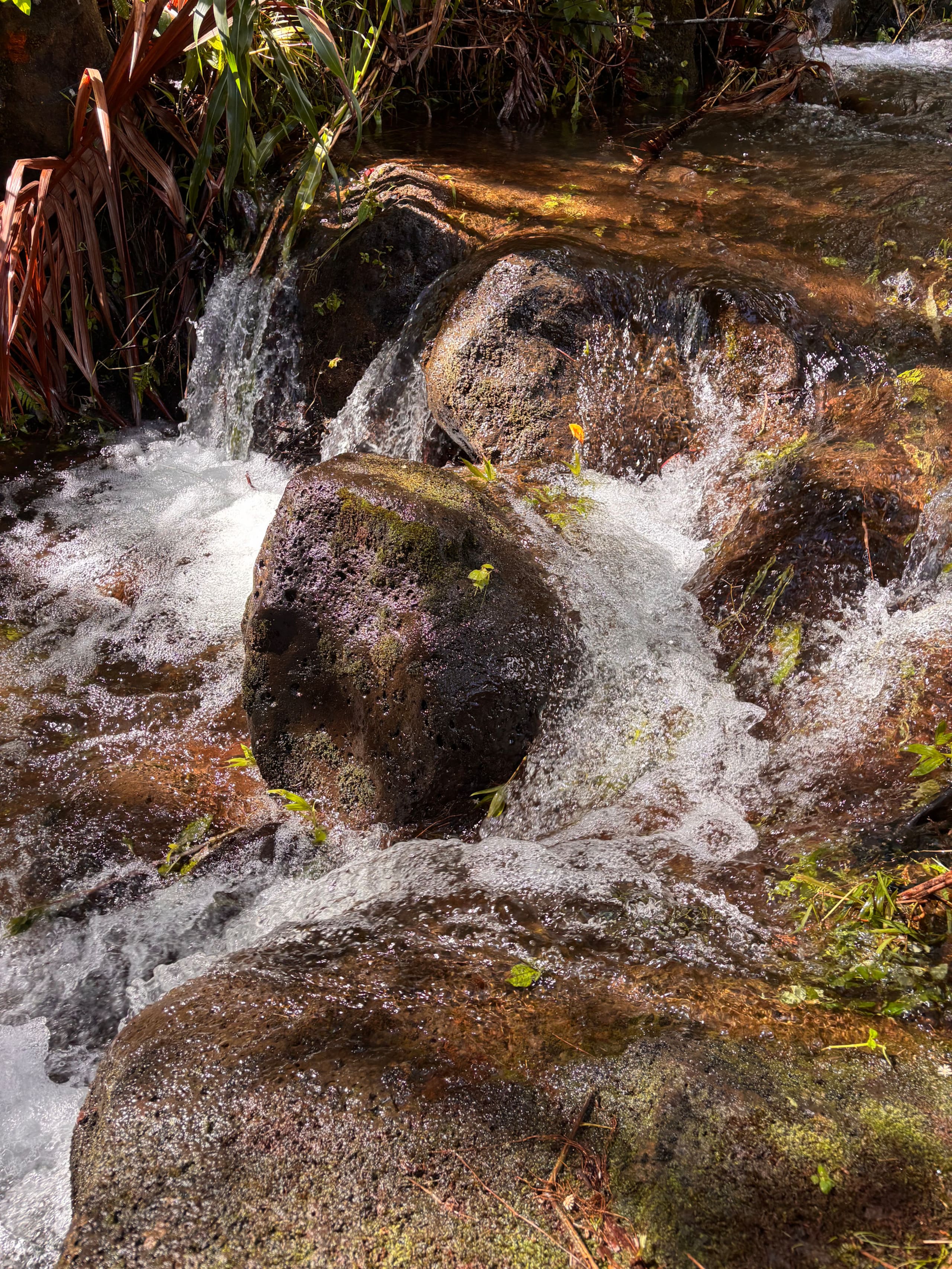 Private Waterfall Escape | Furo Tub/Outdoor Shower - Image 36