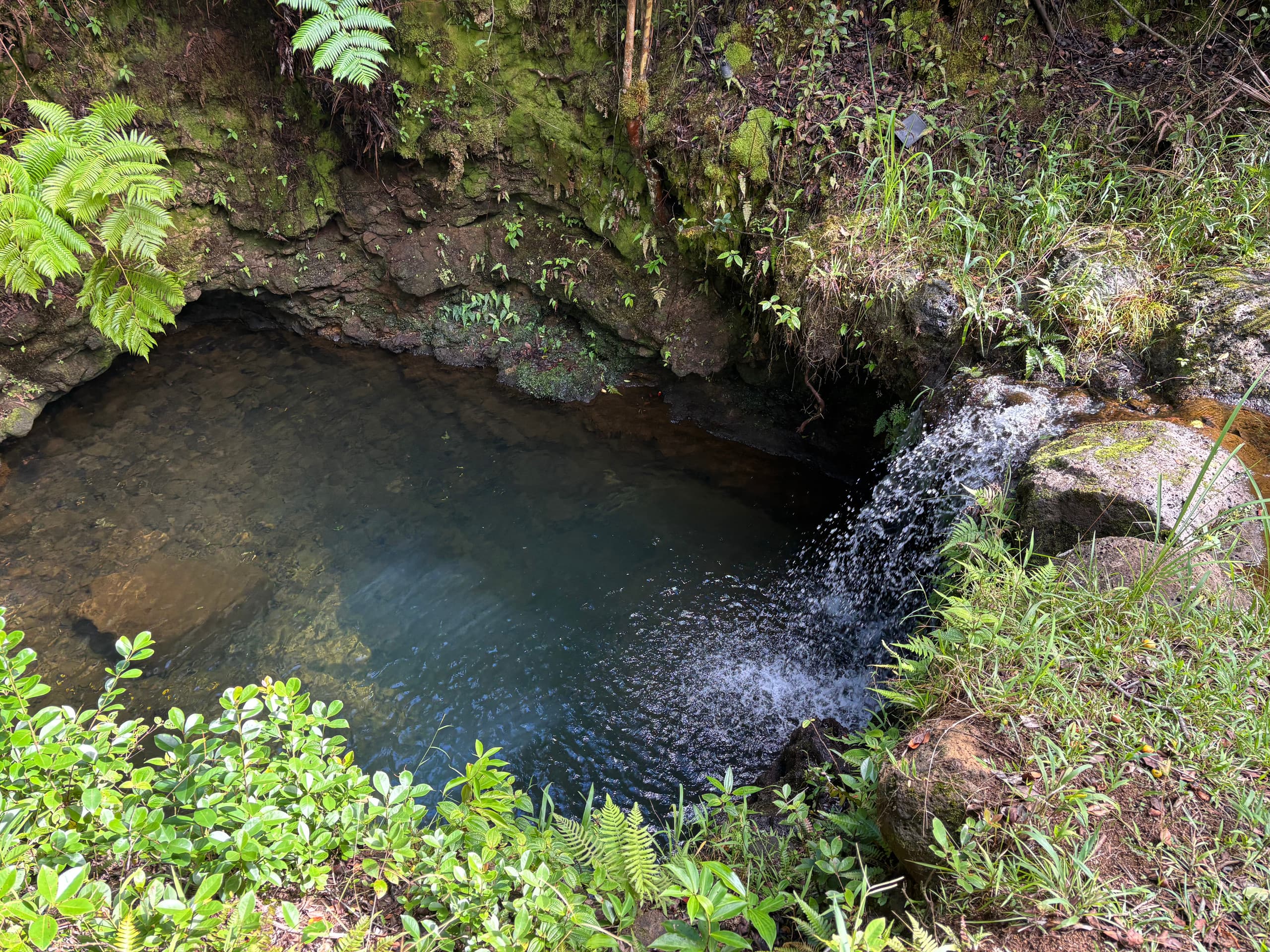 Private Waterfall Escape | Furo Tub/Outdoor Shower - Image 3