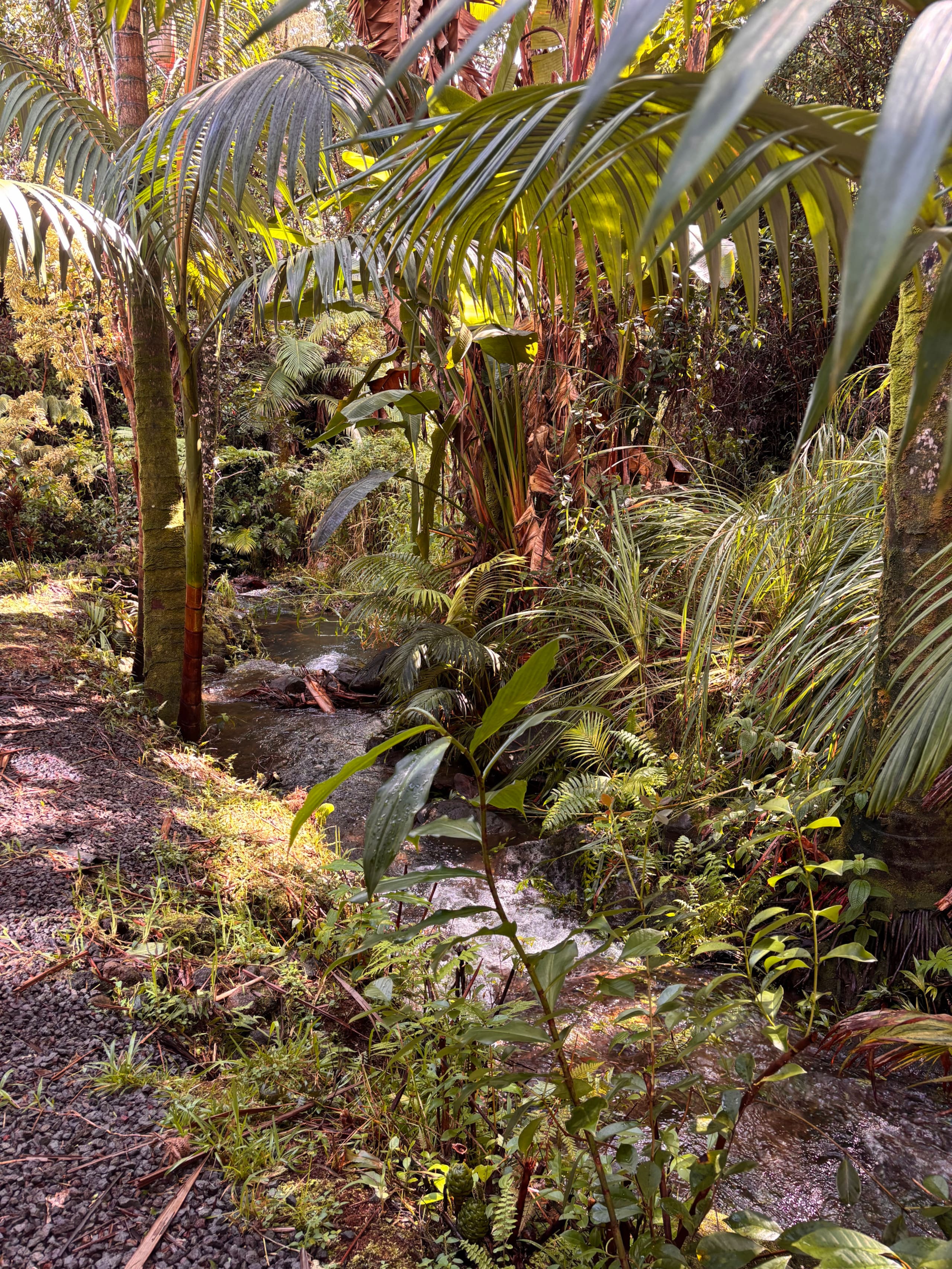 Private Waterfall Escape | Furo Tub/Outdoor Shower - Image 35