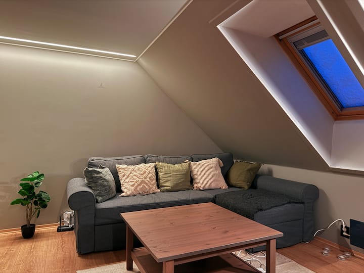 Cozy Apartment. Centrally Located Next To Solsiden - Trondheim