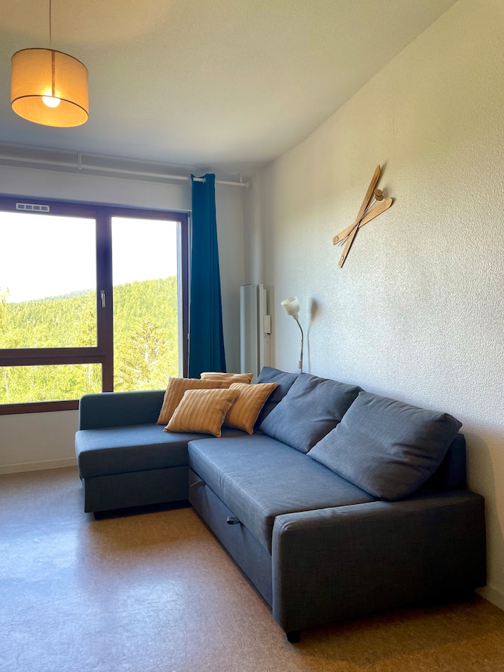 Le Bellevue - 5 Min Gérardmer - Spacieux - 60 M² - La Bresse