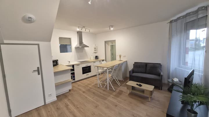 APPARTEMENT COSY EN PLEIN CENTRE