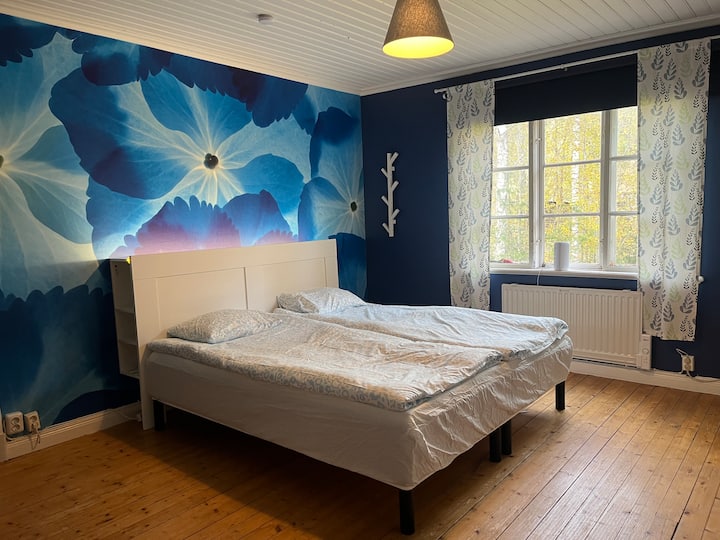 Quarto 1
