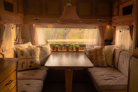 Top performing Airbnb: EIRA Glamping: Sea view - Fire Pit - Sauna Rental in Reinelva/Hundbergan