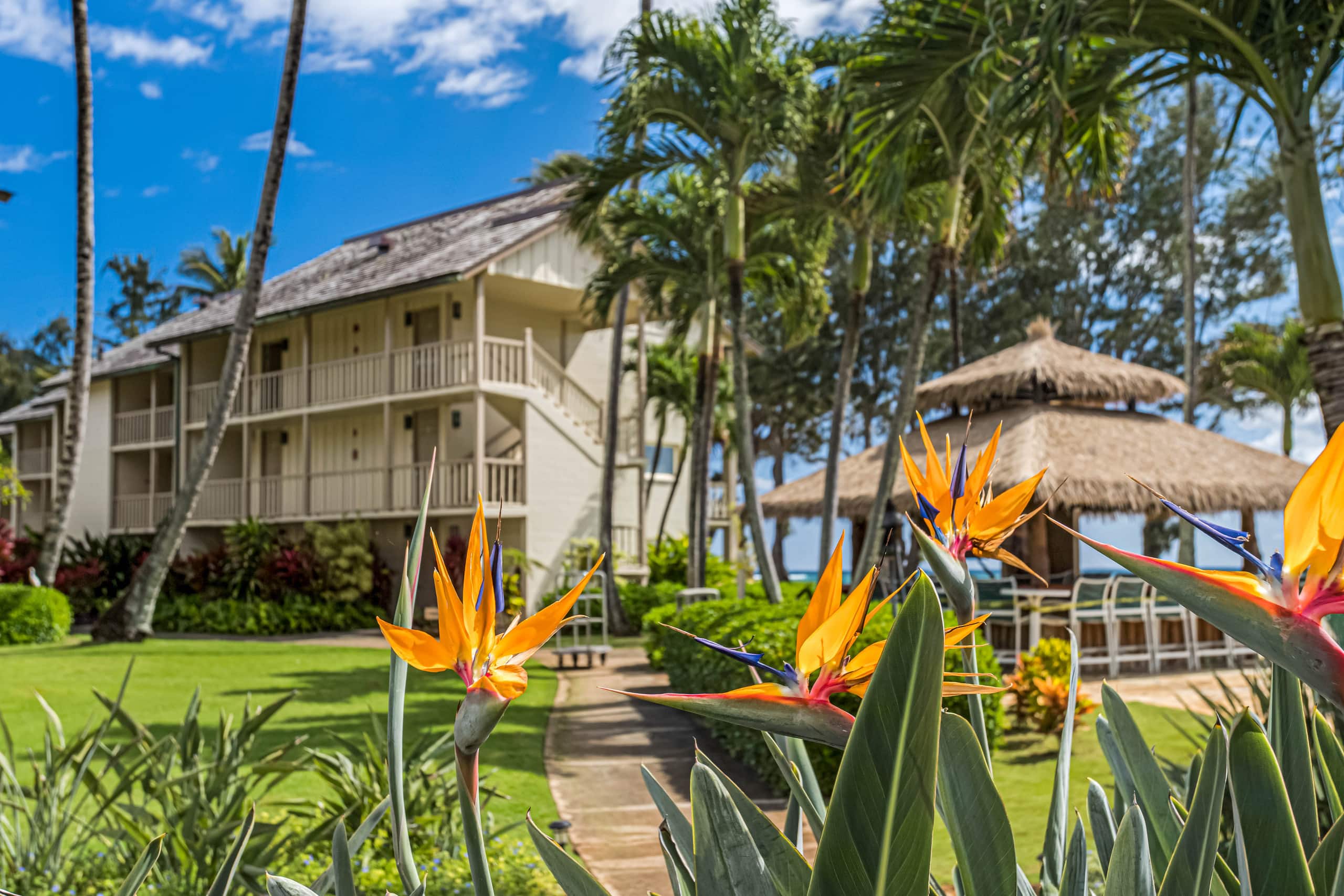 Islander Beach Getaway w/Ac, hottub & pool - Photo 26