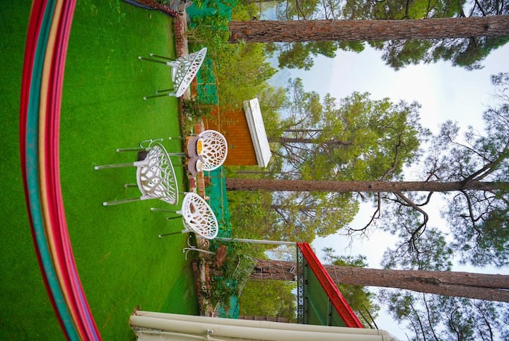 Backyard BBQ grill setup