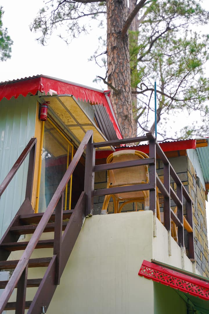 Exterior front view with pine trees