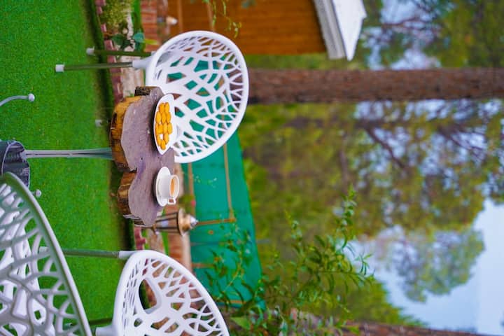 Backyard bonfire area