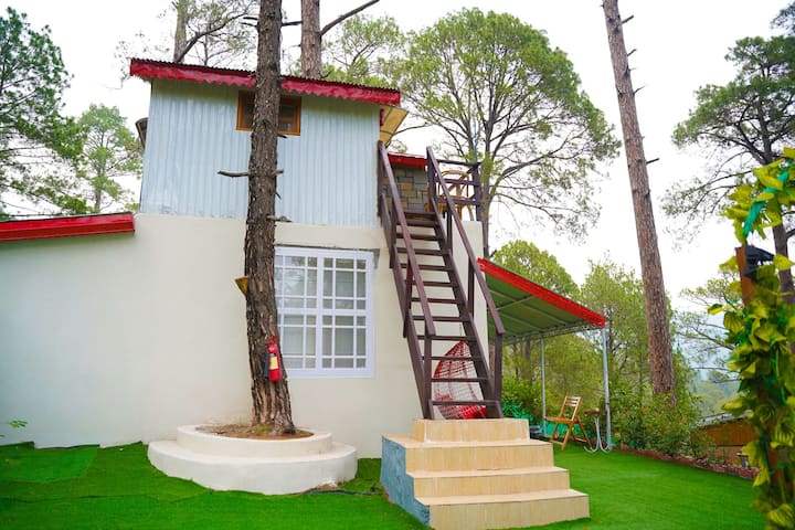 Exterior landscape view