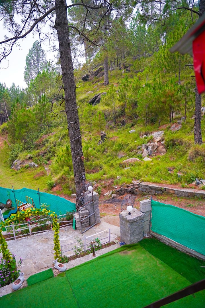 Exterior garden area