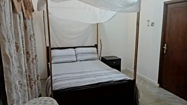 ناموسية مثبتة حديثًا 