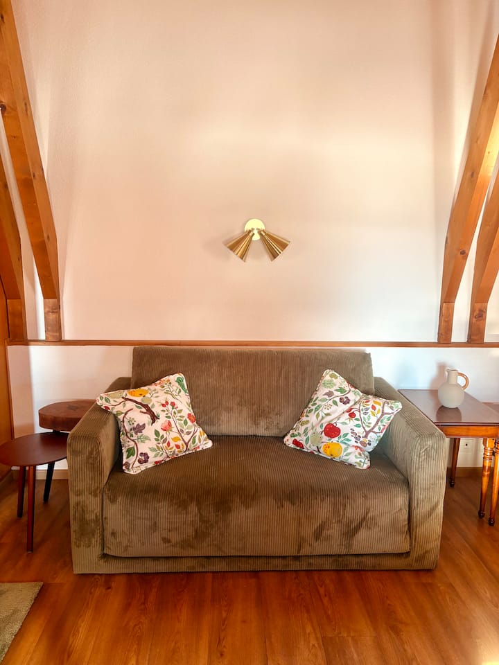 Le Refuge:charmant Studio Proche Des Pistes De Ski - Leysin