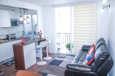 Top performing Airbnb: Cozy furnished apartment in a good location in Chillán