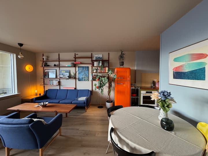 Charming Apartment In Reykjavík - Reykjavík