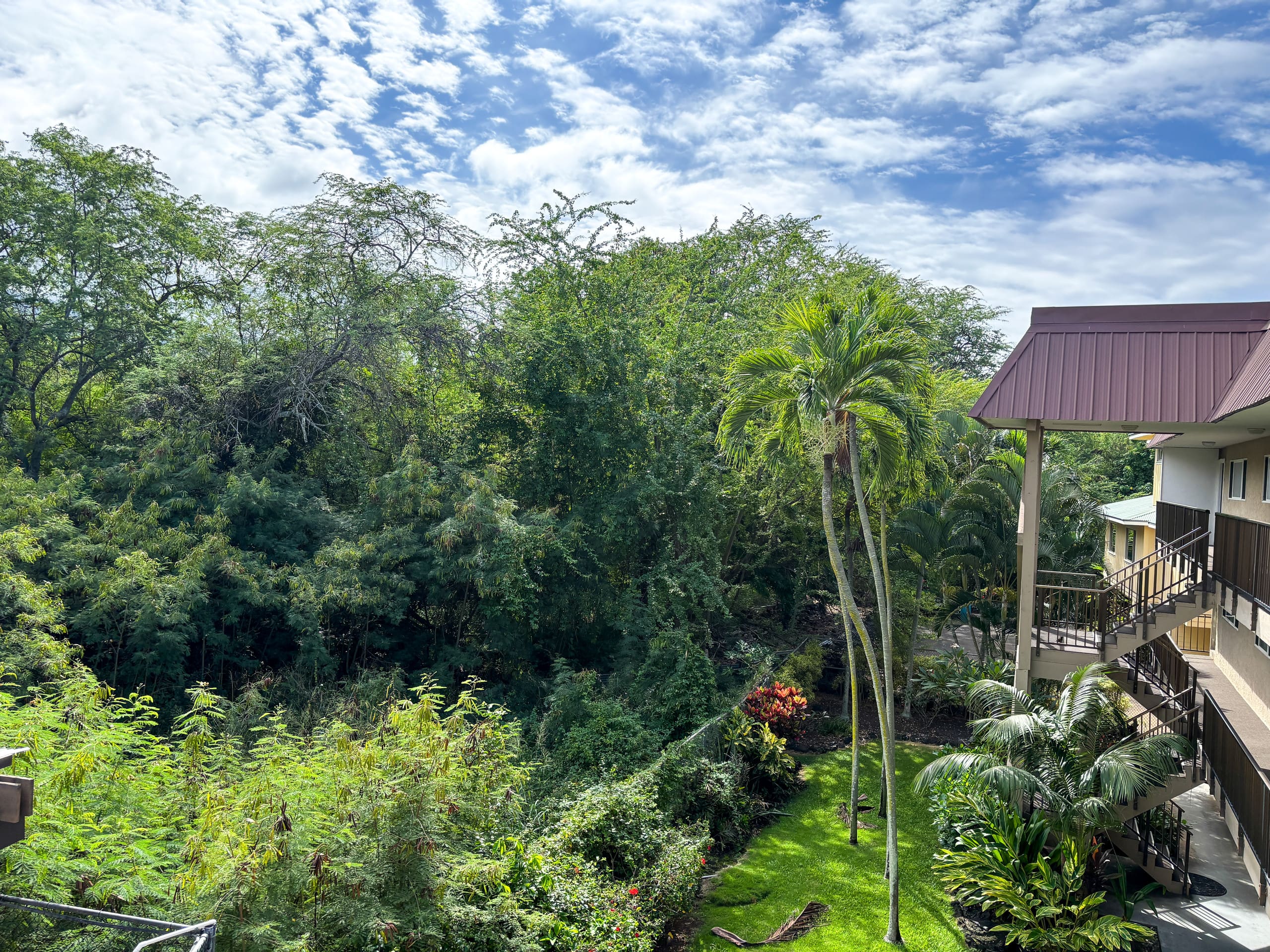 Oceanfront Paradise, AC, Pool, 2 mins to Snorkel - Photo 32