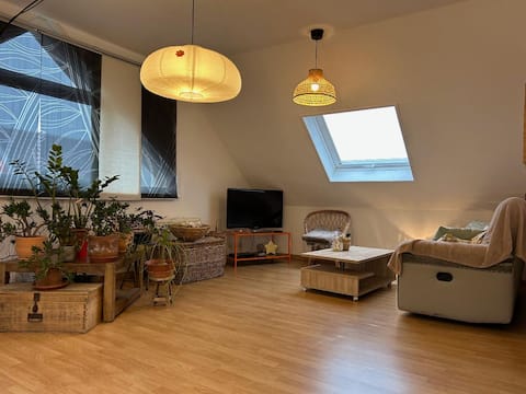 Airbnb performant: Haguenau apartment near the station and city center à Haguenau