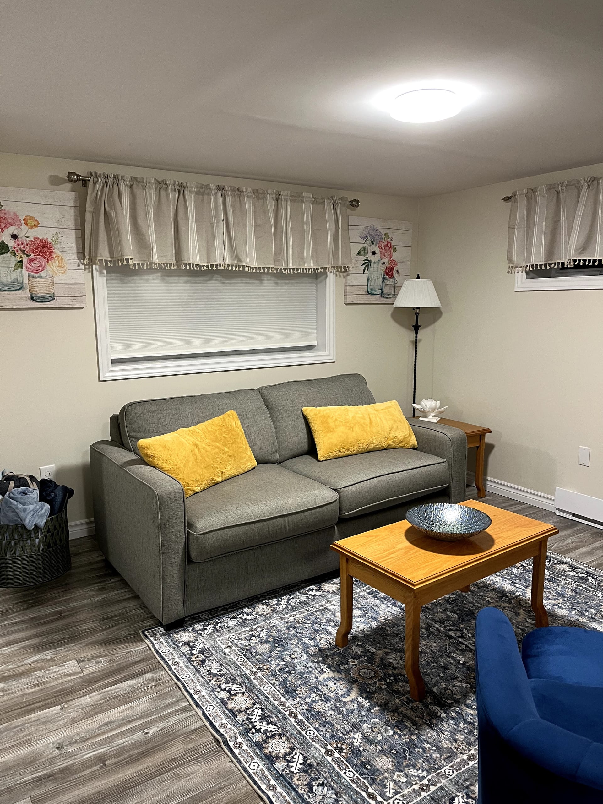 One bedroom apartment with sofa bed