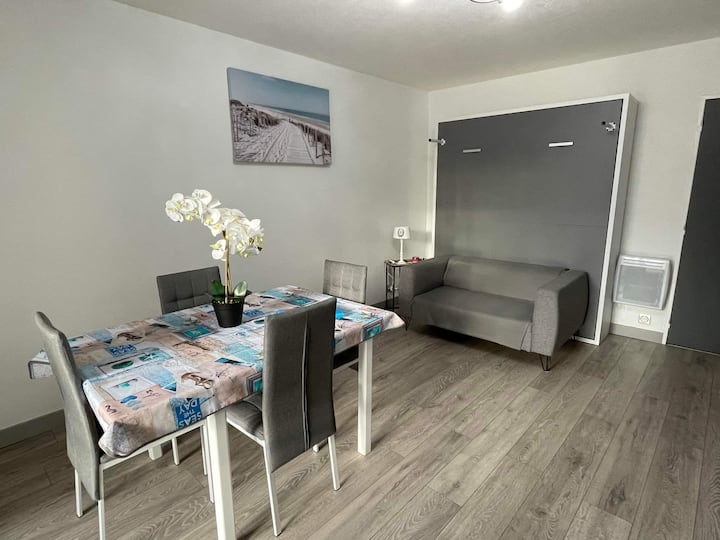 Superbe Studio Cabine Entre Port Et Plage - Saint-Cyprien