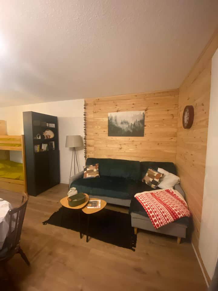 Appartement 4/6 Personnes Centre Station - Montclar