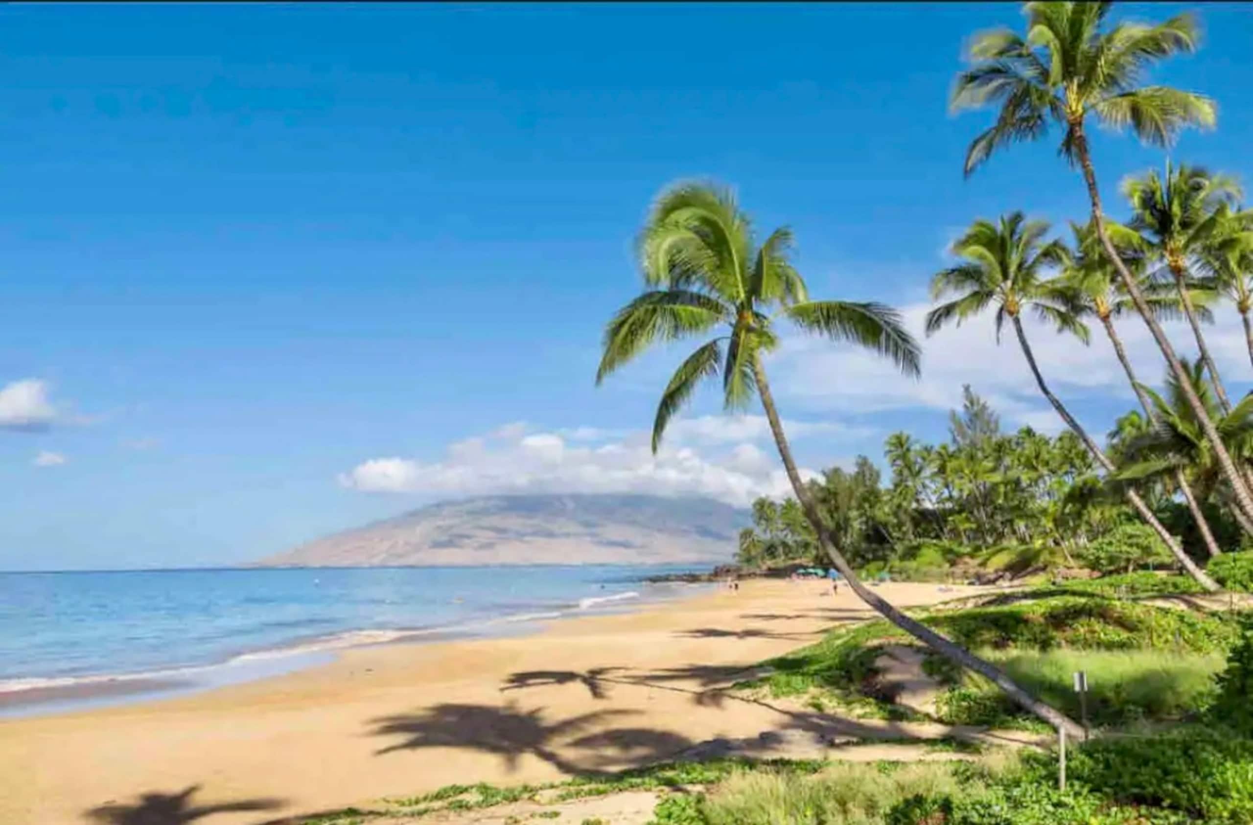 STEPS to BEACH, Kihei KAI NANI, pool, AC unit, BBQ - Image 16