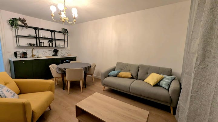 Appartement T3 Climatisé, 2 Chambres - Grenoble