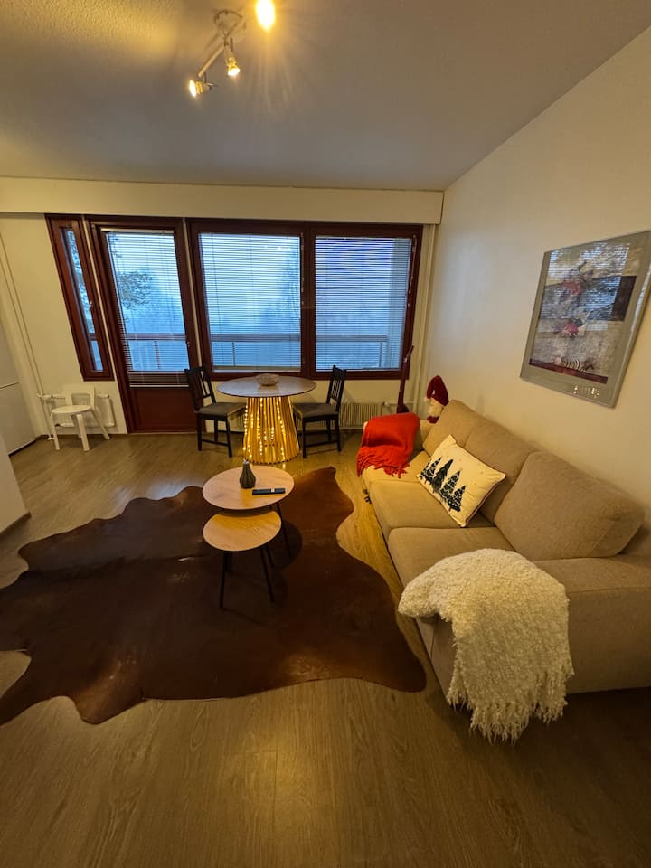 Riverview Apartment - Rovaniemi